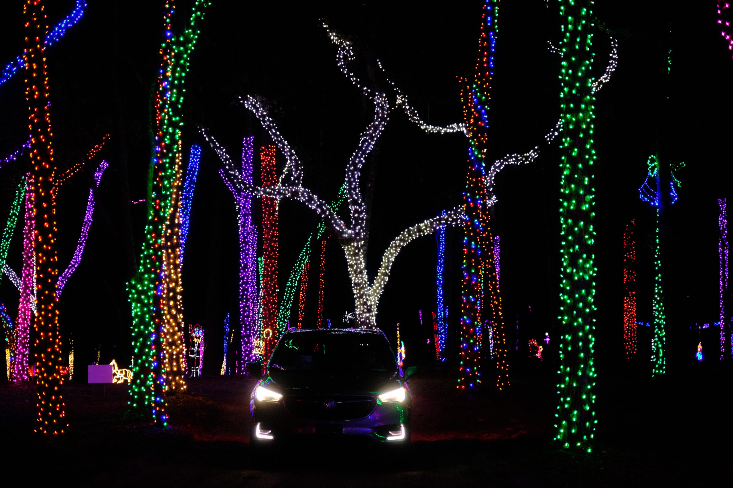 driving christmas light show