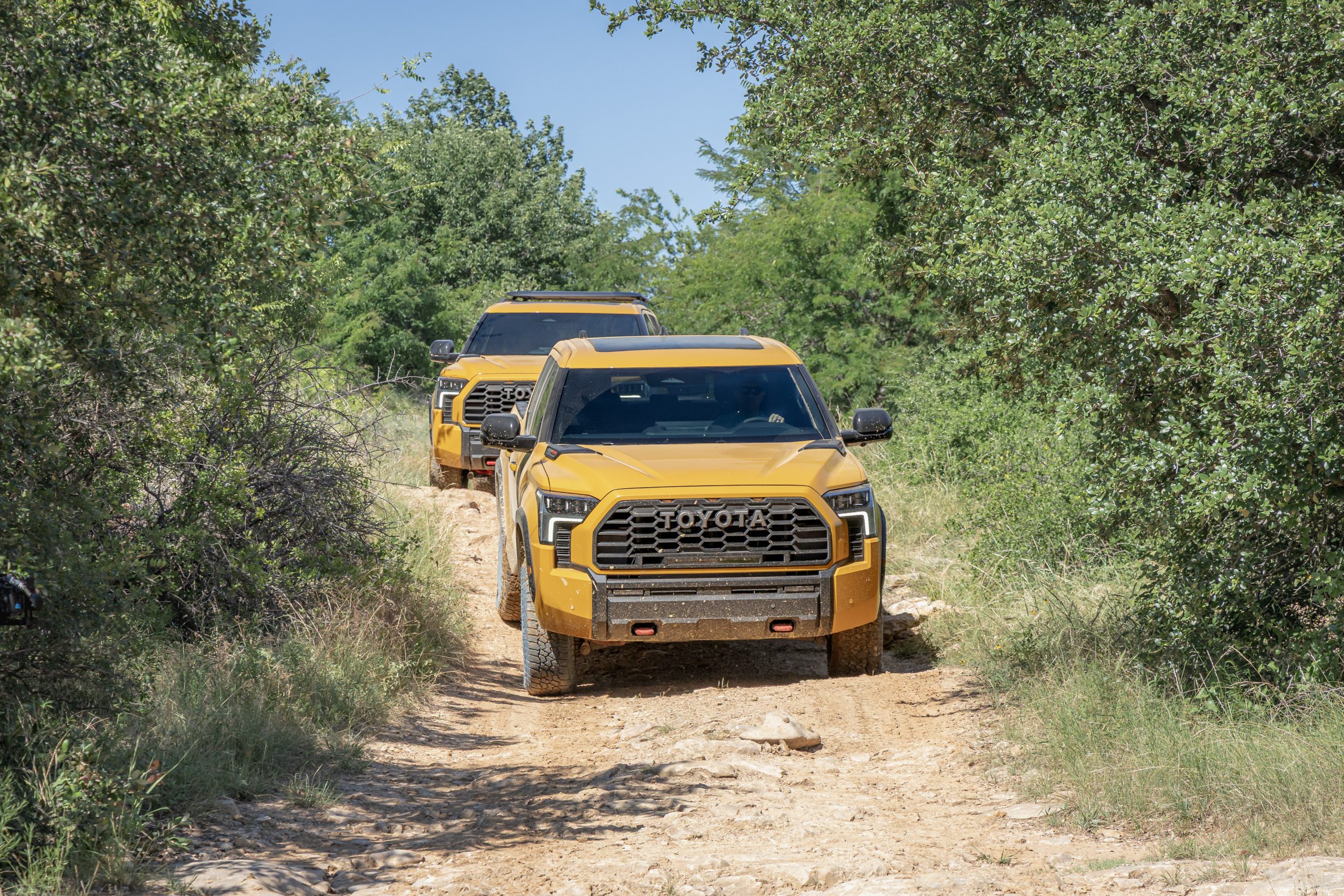 2027 Toyota Tundra in Honeycomb