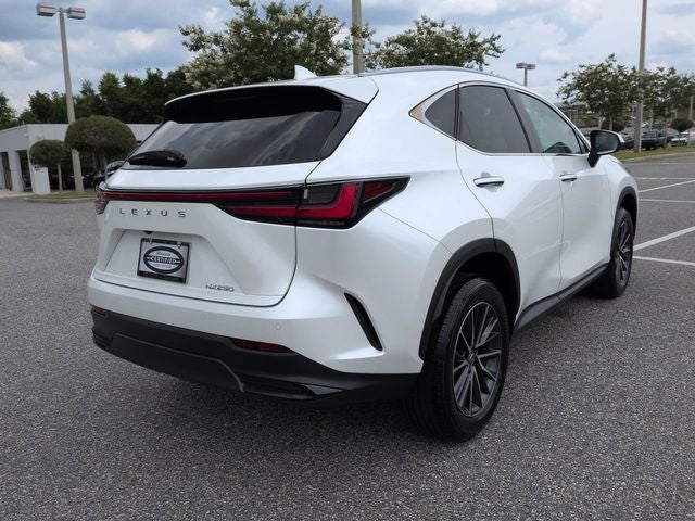 2025 Lexus NX 250 250 Premium