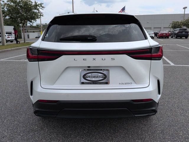 2025 Lexus NX 250 250 Premium