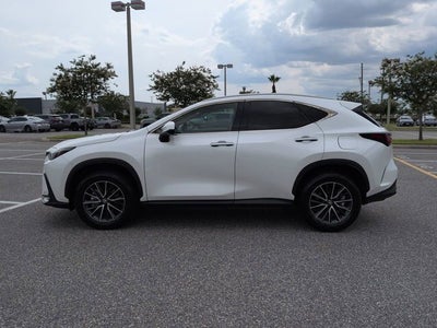 2025 Lexus NX 250 250 Premium
