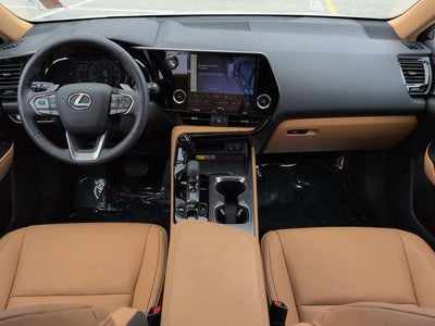 2025 Lexus NX 250 250 Premium