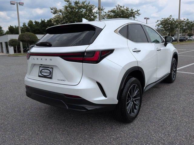 2025 Lexus NX 250 250 Premium