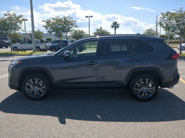 2024 Toyota RAV4 HYBRID XLE Premium